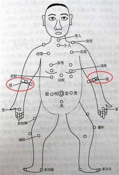 手臂有痣|痣的位置透露出這些訊息！上手臂有痣不乏追求者、手。